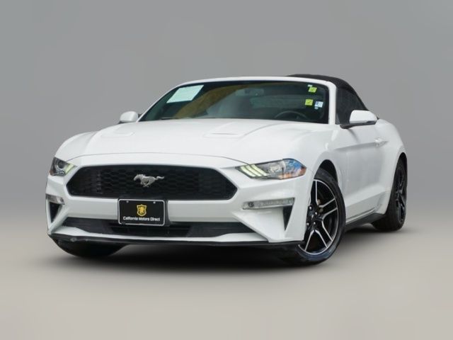 2019 Ford Mustang EcoBoost