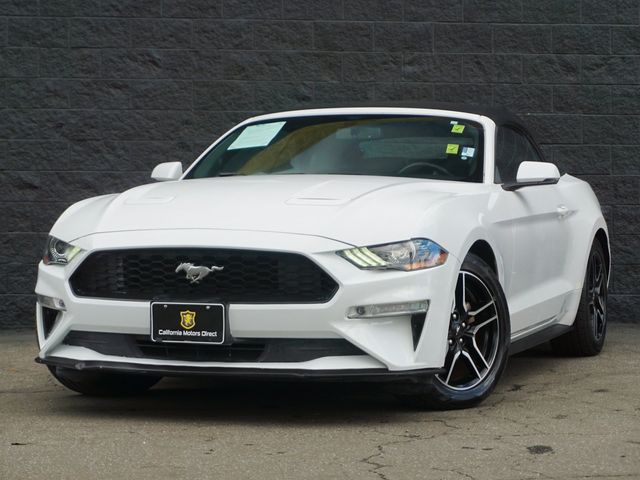 2019 Ford Mustang EcoBoost