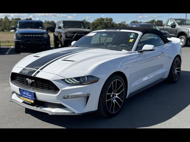 2019 Ford Mustang EcoBoost Premium