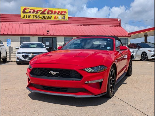 2019 Ford Mustang 