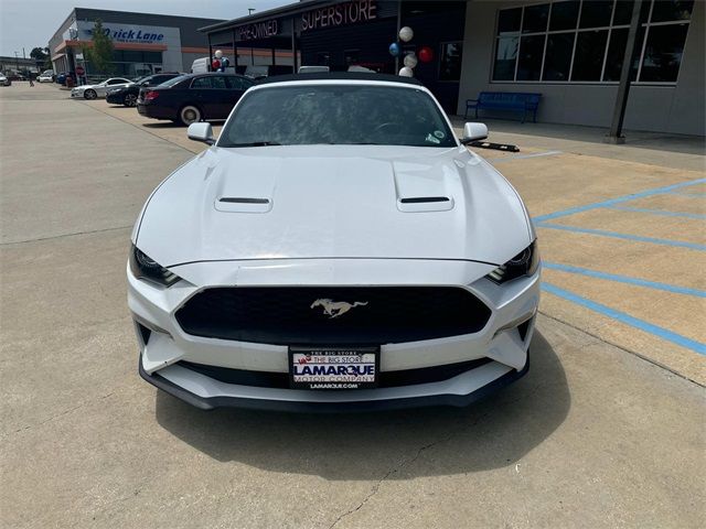 2019 Ford Mustang 