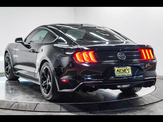 2019 Ford Mustang Bullitt