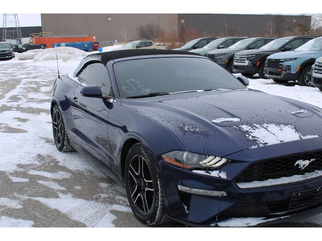 2019 Ford Mustang EcoBoost