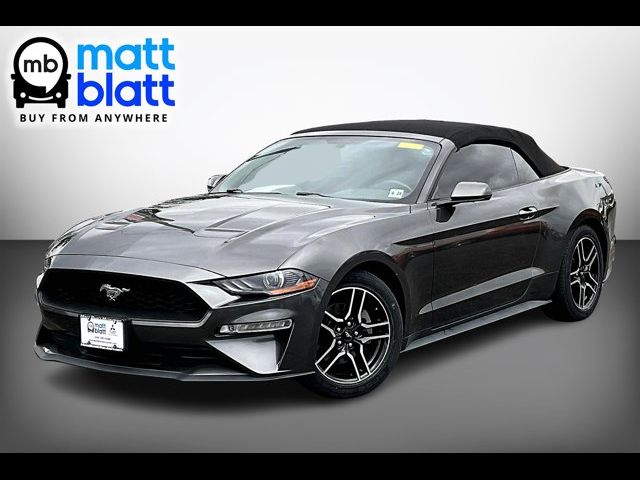 2019 Ford Mustang 