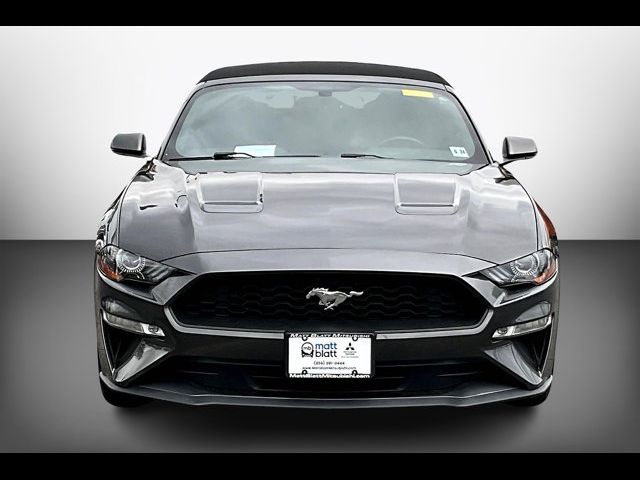 2019 Ford Mustang 