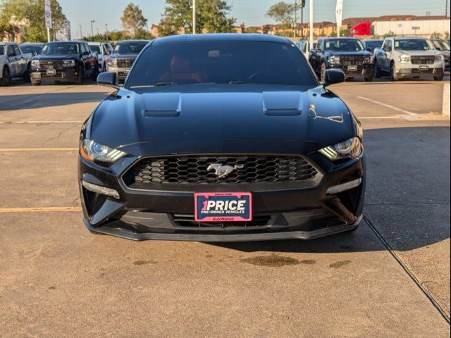 2019 Ford Mustang EcoBoost