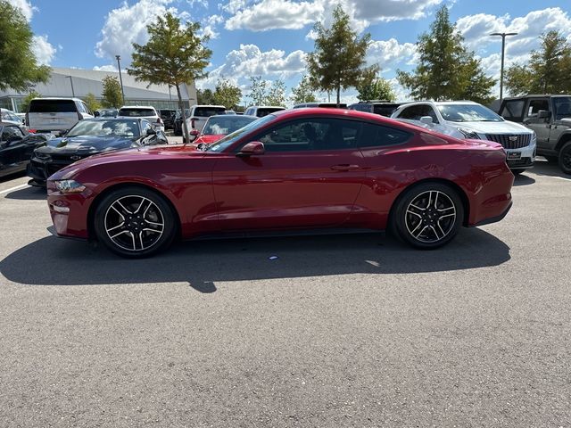 2019 Ford Mustang EcoBoost