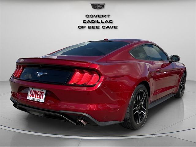 2019 Ford Mustang EcoBoost