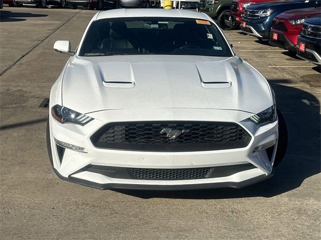 2019 Ford Mustang EcoBoost