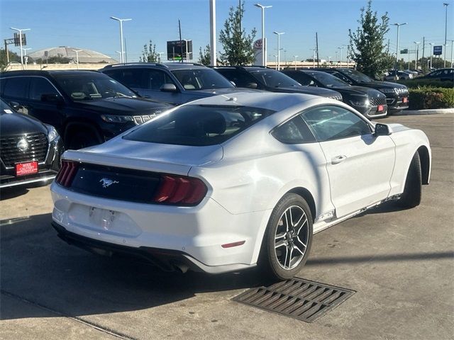 2019 Ford Mustang EcoBoost