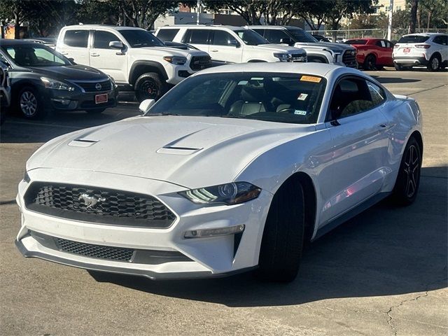 2019 Ford Mustang EcoBoost