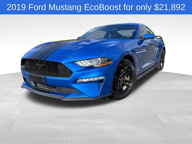 2019 Ford Mustang EcoBoost