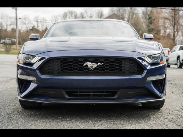 2019 Ford Mustang EcoBoost