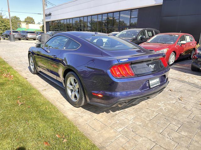 2019 Ford Mustang EcoBoost