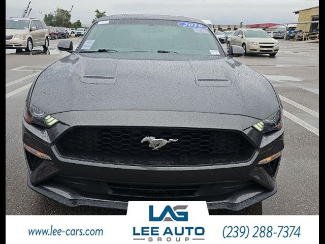 2019 Ford Mustang EcoBoost