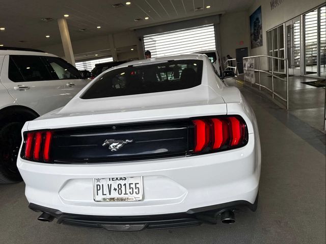 2019 Ford Mustang EcoBoost