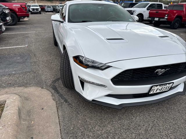 2019 Ford Mustang EcoBoost