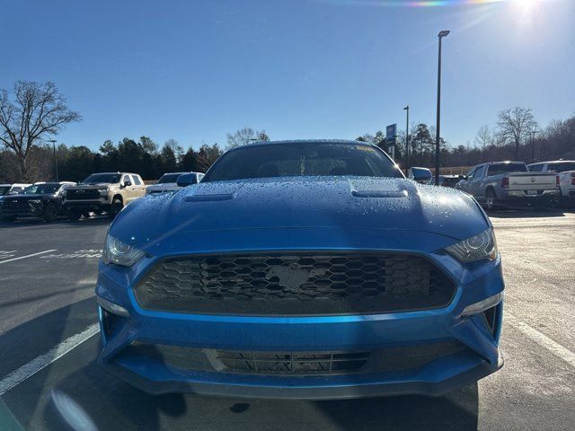 2019 Ford Mustang EcoBoost