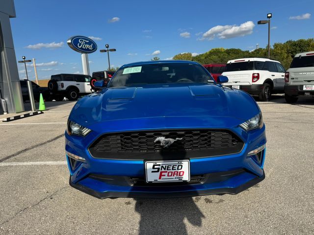 2019 Ford Mustang EcoBoost