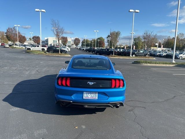 2019 Ford Mustang EcoBoost