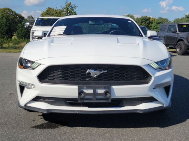 2019 Ford Mustang EcoBoost