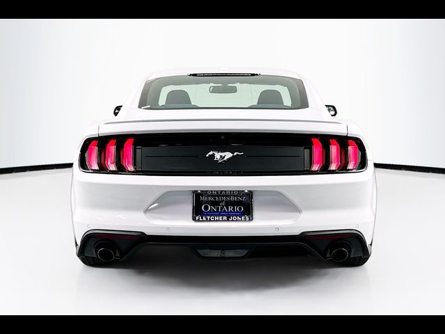 2019 Ford Mustang EcoBoost