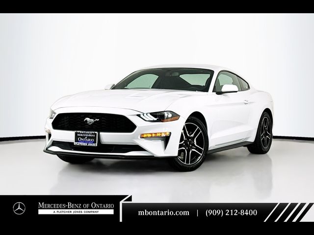 2019 Ford Mustang EcoBoost