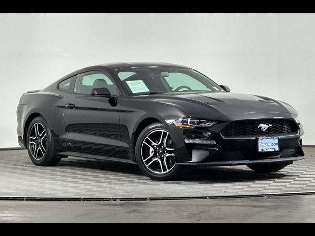 2019 Ford Mustang EcoBoost