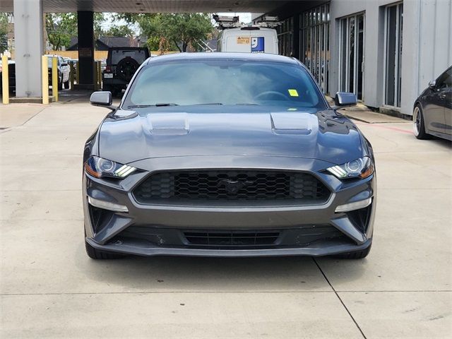 2019 Ford Mustang EcoBoost