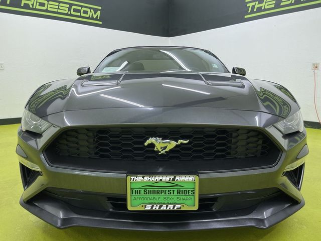 2019 Ford Mustang EcoBoost