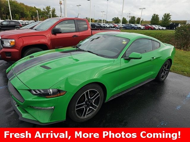 2019 Ford Mustang EcoBoost