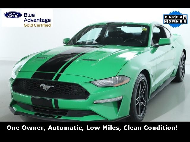 2019 Ford Mustang EcoBoost