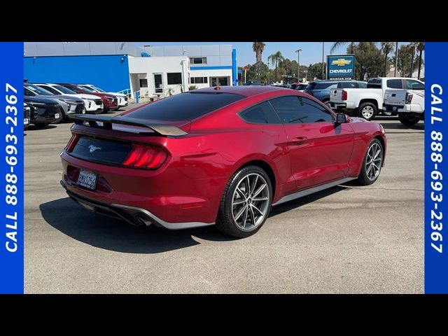 2019 Ford Mustang EcoBoost