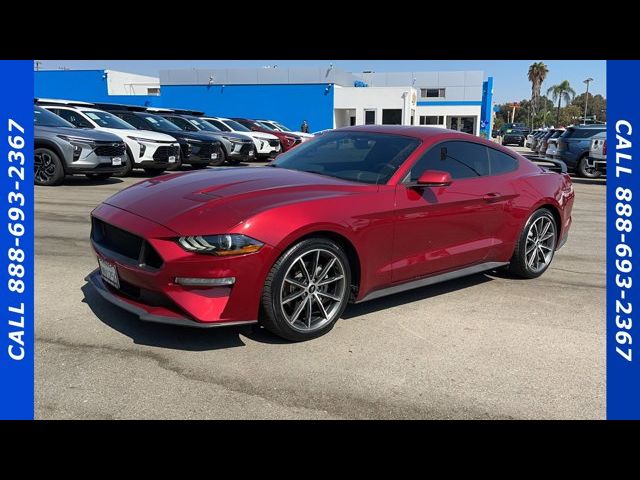 2019 Ford Mustang EcoBoost