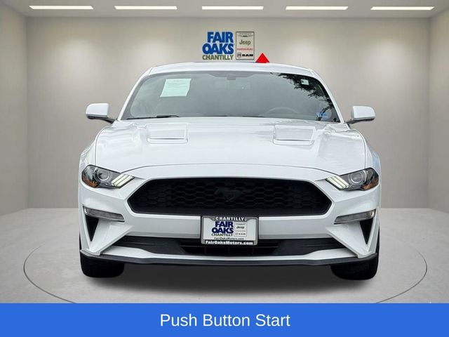 2019 Ford Mustang EcoBoost