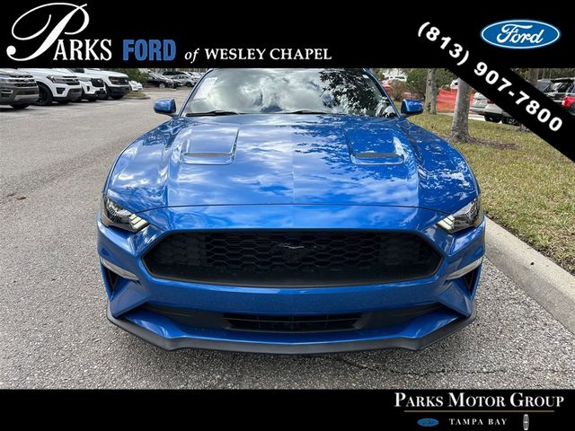 2019 Ford Mustang EcoBoost