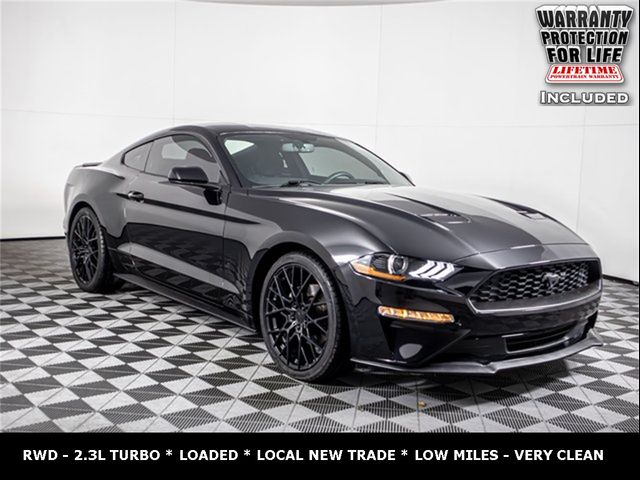 2019 Ford Mustang EcoBoost