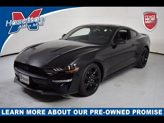 2019 Ford Mustang EcoBoost