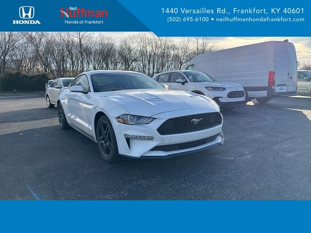 2019 Ford Mustang EcoBoost