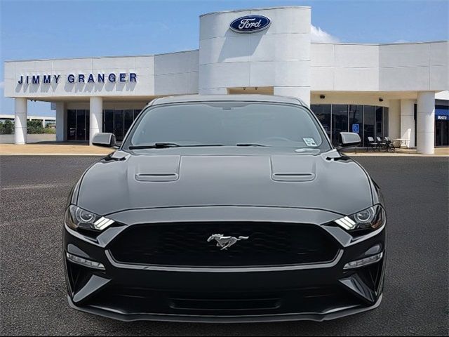 2019 Ford Mustang EcoBoost