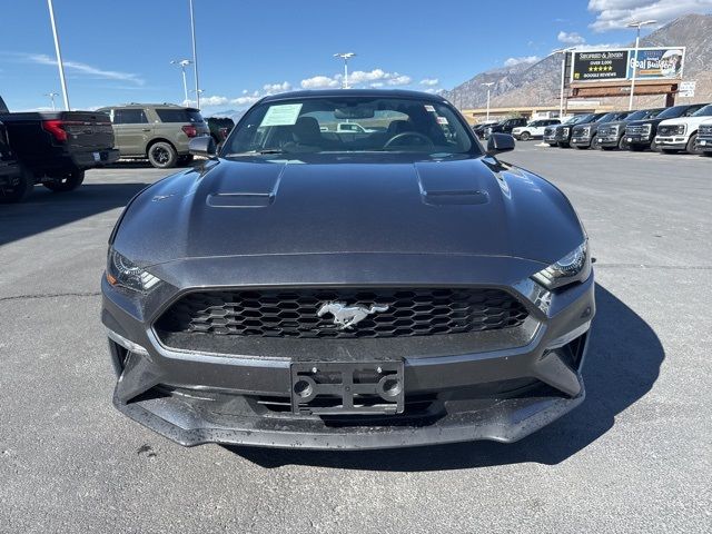 2019 Ford Mustang EcoBoost