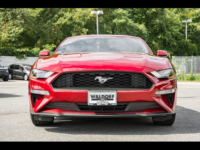 2019 Ford Mustang EcoBoost