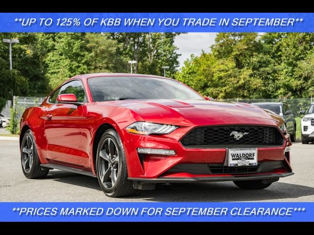 2019 Ford Mustang EcoBoost