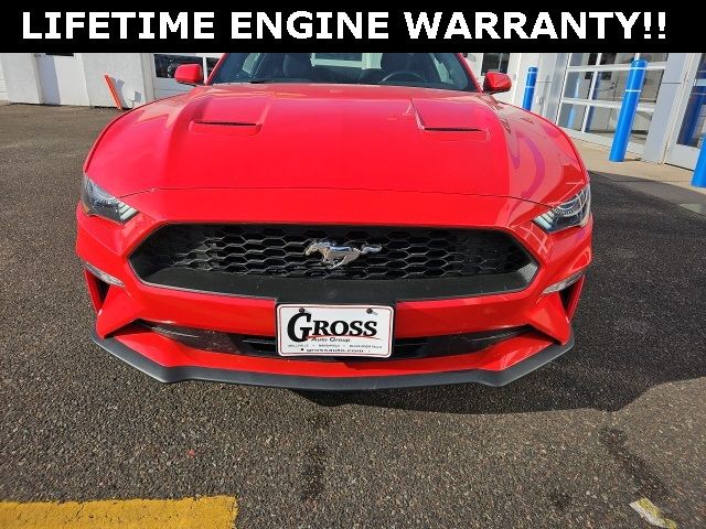 2019 Ford Mustang EcoBoost