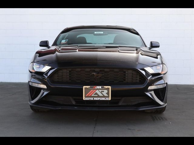 2019 Ford Mustang EcoBoost