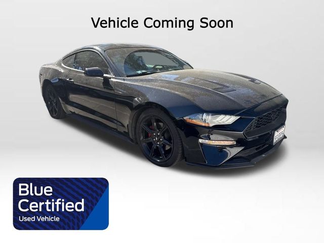 2019 Ford Mustang EcoBoost