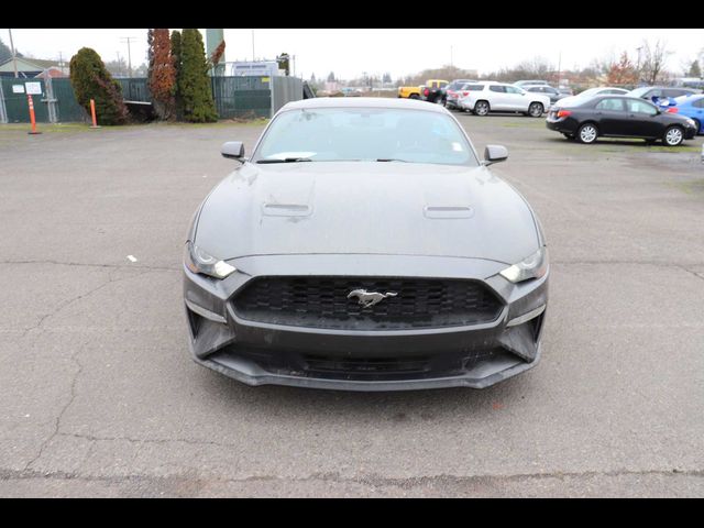 2019 Ford Mustang EcoBoost