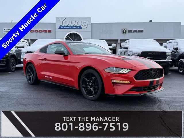 2019 Ford Mustang EcoBoost
