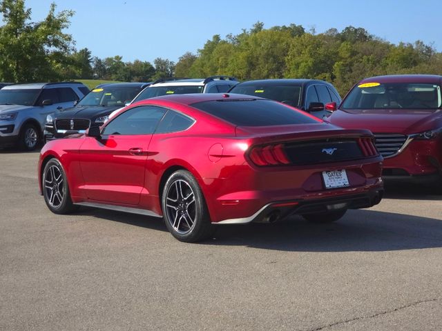 2019 Ford Mustang EcoBoost