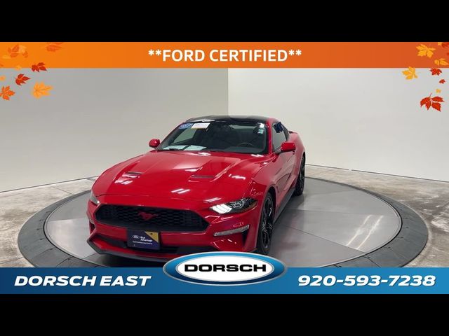 2019 Ford Mustang 